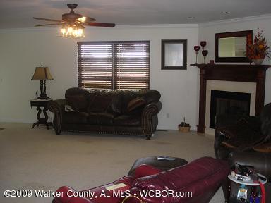 212 County Road 3721 Addison, AL 35540 - Photo 4 of 10 Gallery Image 4