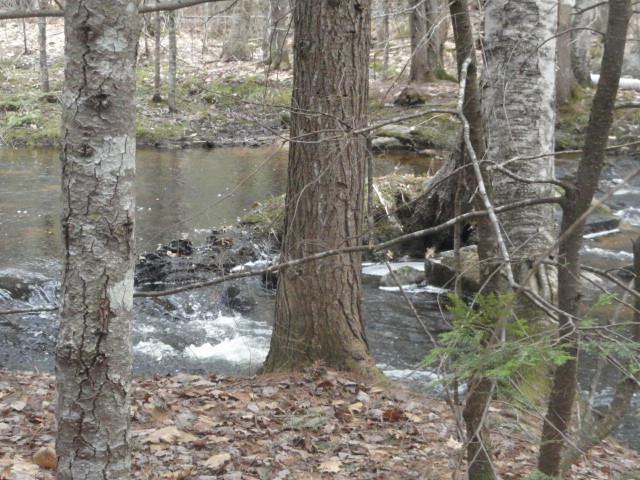 38 Wint Road Harrison, ME 04040 - Photo 33 of 34 Nice spring falls in the brook!
