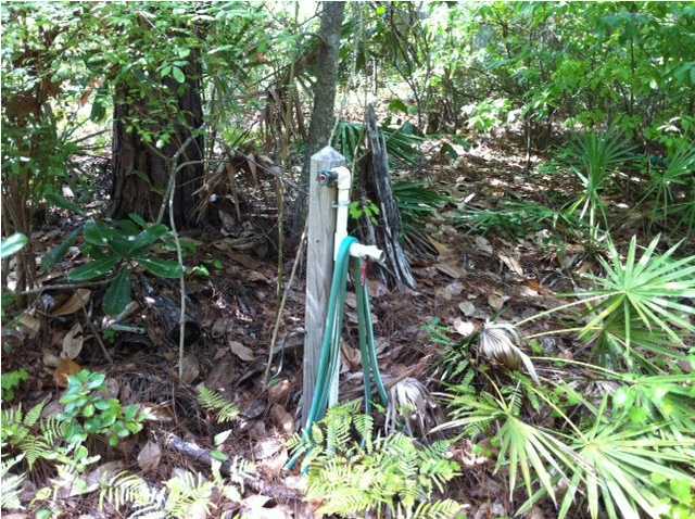 Lot 16 Oak St Point Santa Rosa Beach, FL 32459 - Photo 5 of 7 Gallery Image 5