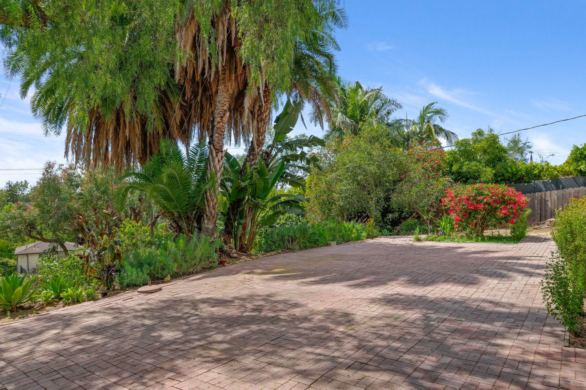 3855 Foothill Road Santa Barbara, CA 93110 - Photo 7 of 39 a sidewalk with a palm tree
