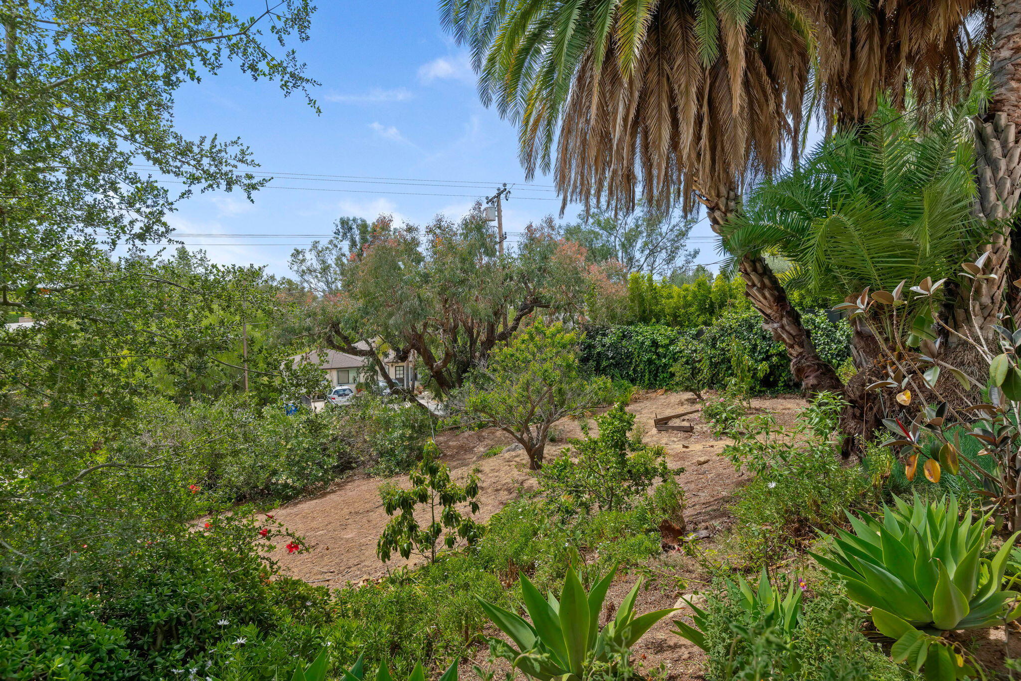 3855 Foothill Road Santa Barbara, CA 93110 - Photo 8 of 39 a view of backyard with outdoor seating and trees
