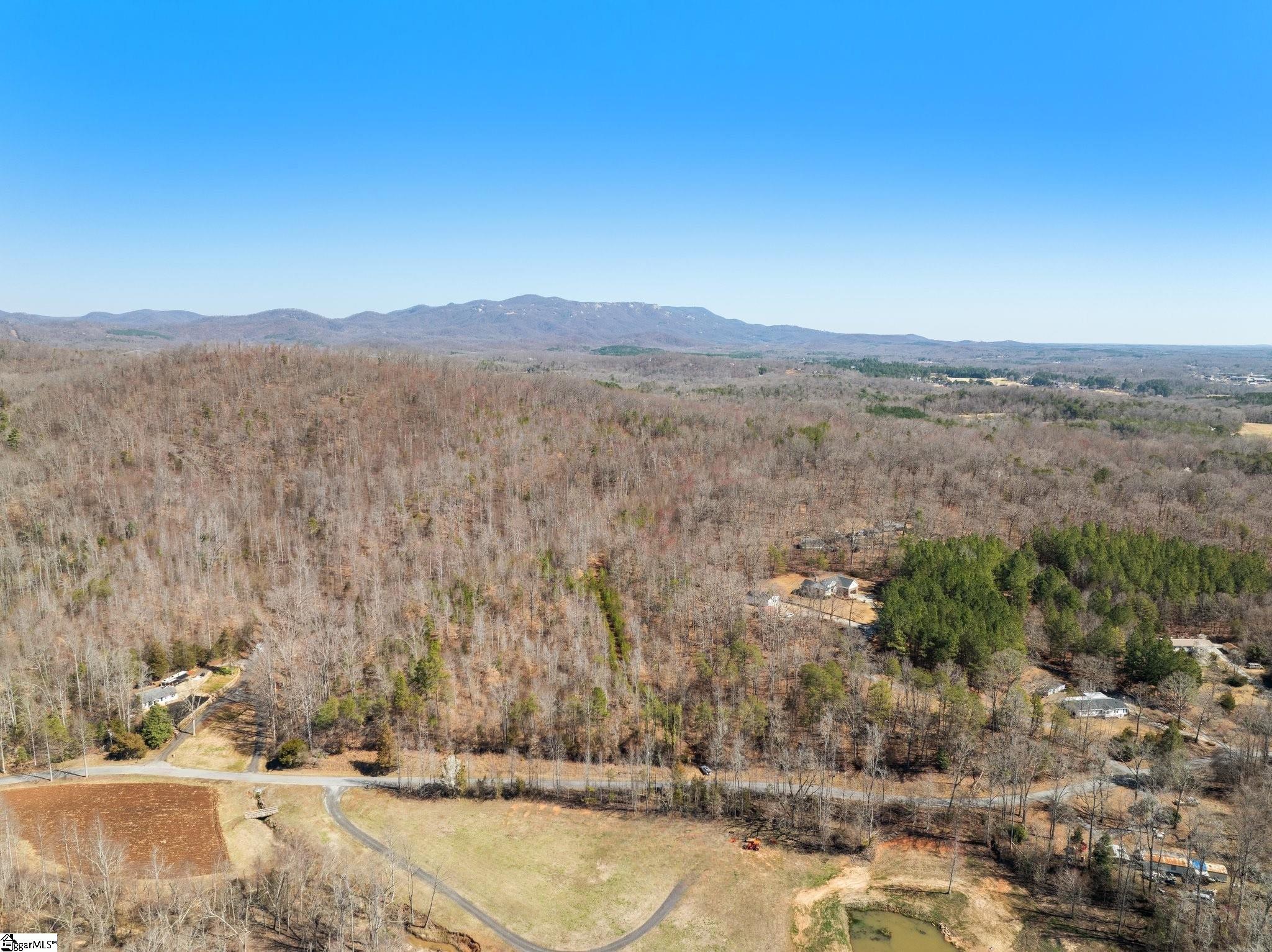 0 Burns Road Travelers Rest, SC 29690 - Photo 8 of 14