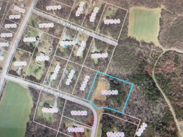 2.23 Amber Road Timberlake, NC 27583 - Photo 5 of 5 Photo 5