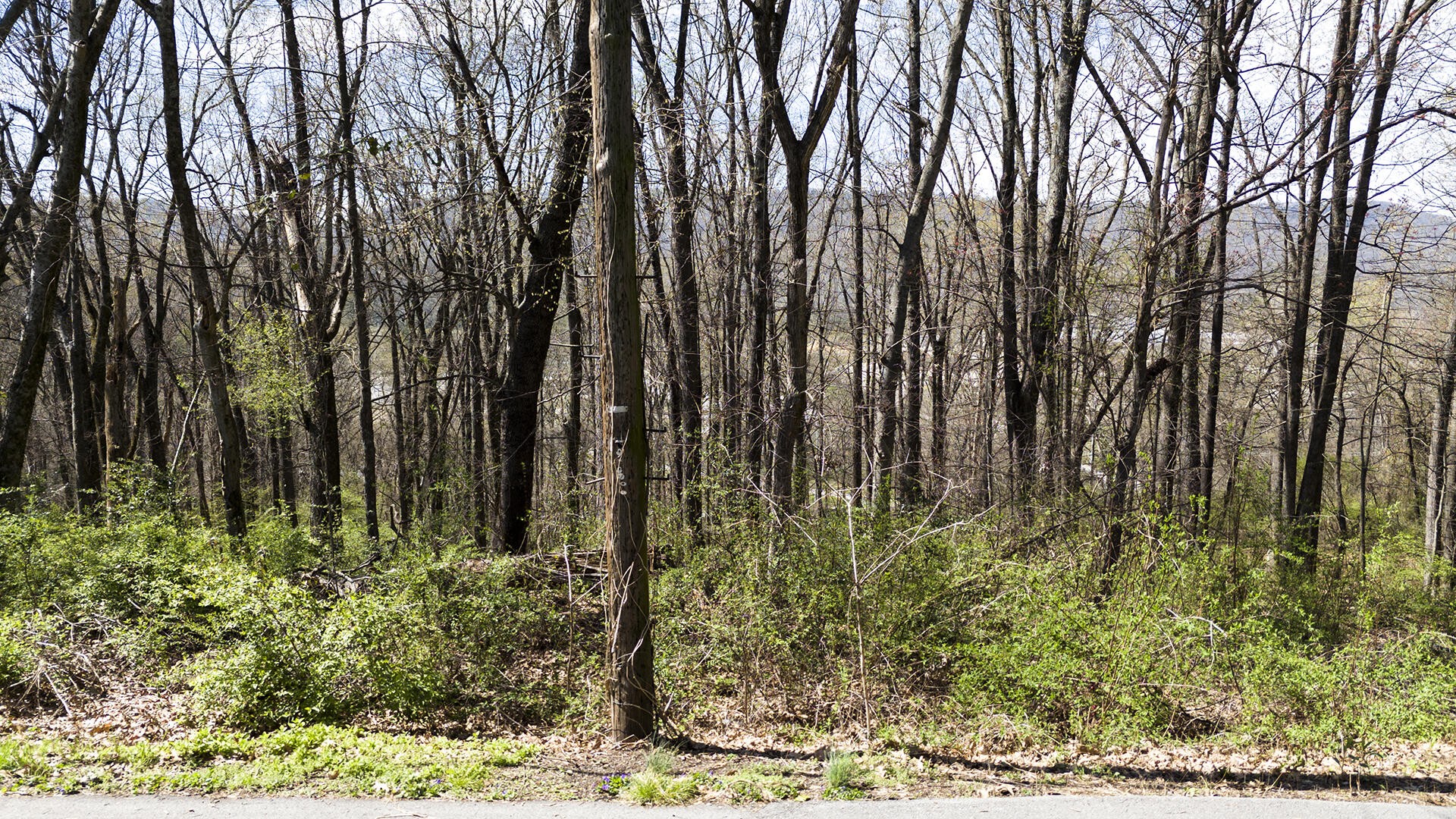 281 Whitehall Road Chattanooga, TN 37405 - Photo 1 of 17 Gallery Image 1