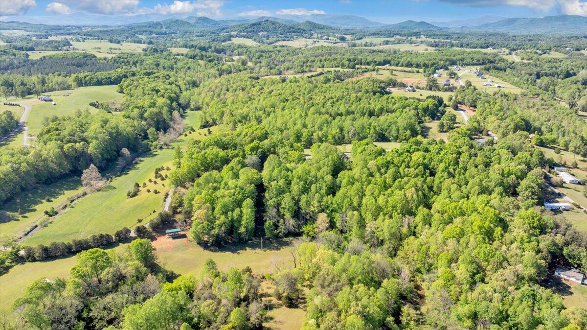 2728 Lipscomb Road Moneta, VA 24121 - Photo 13 of 17 21-DJI_20260428043031_0482_D