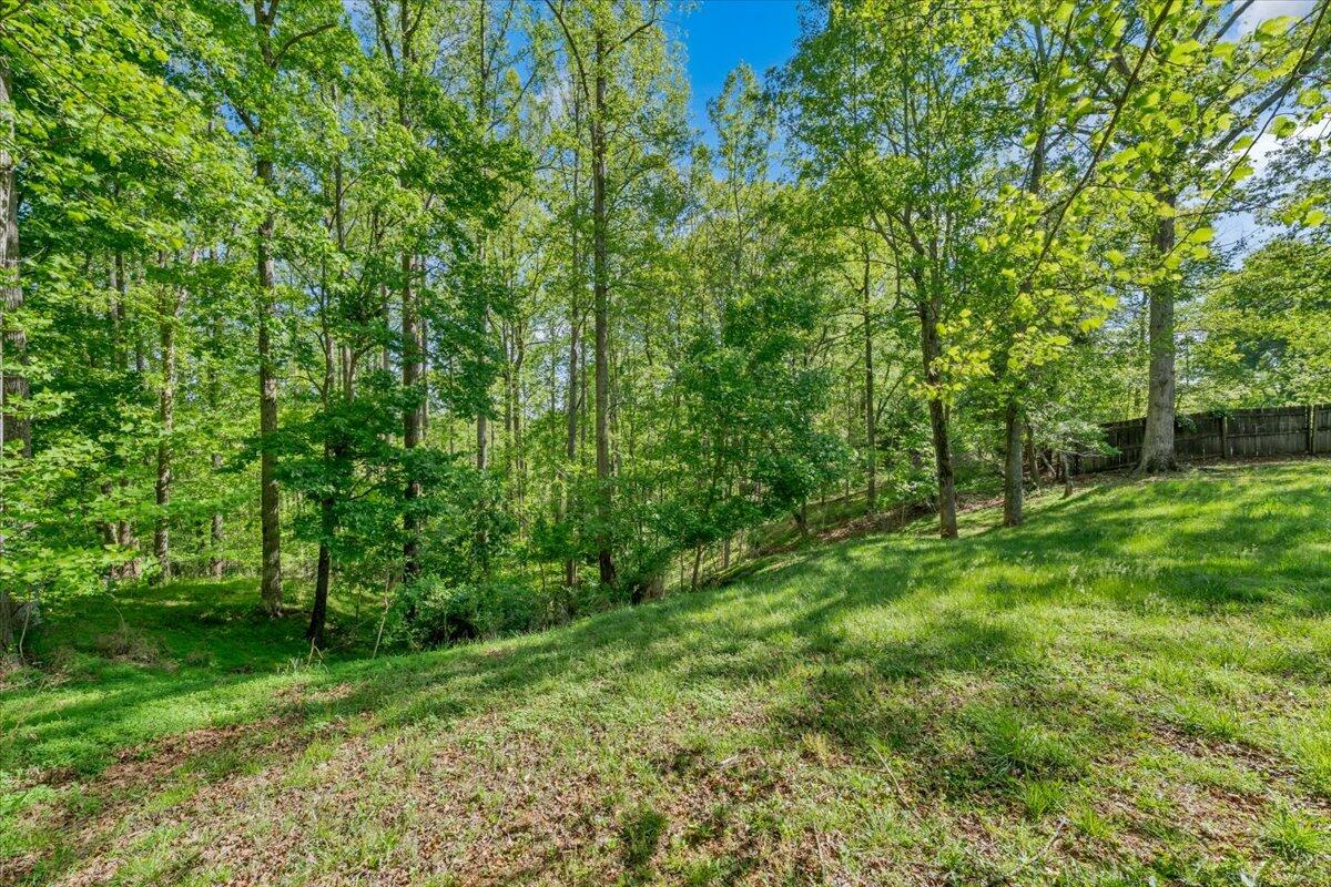 2728 Lipscomb Road Moneta, VA 24121 - Photo 8 of 17 41-MIB00348