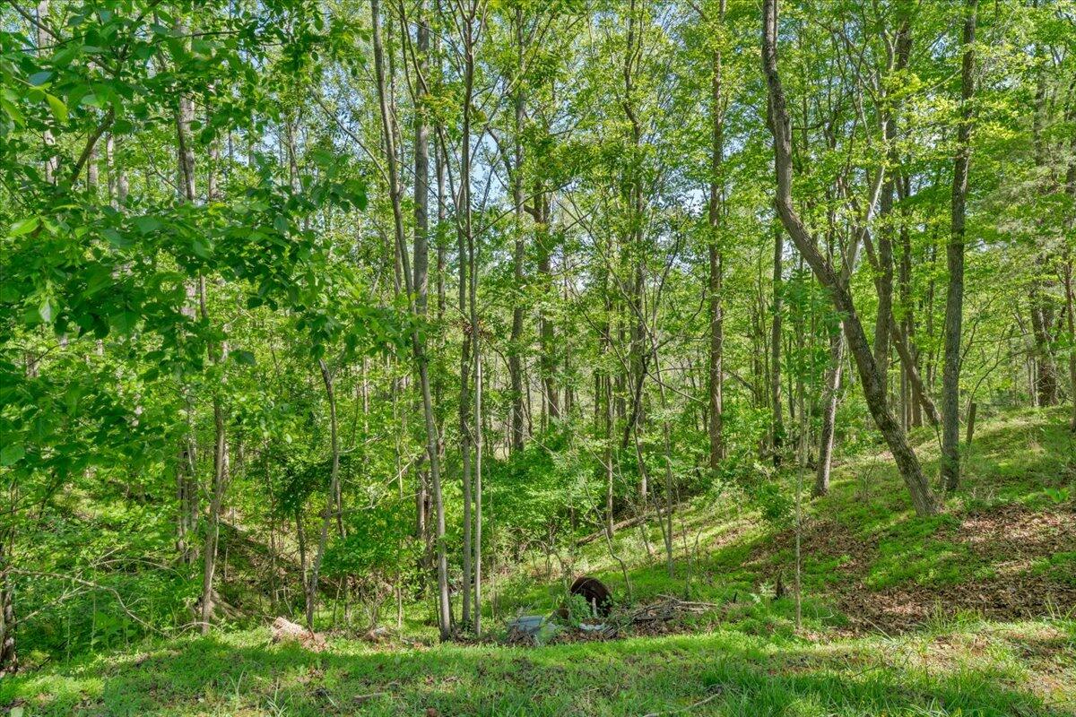 2728 Lipscomb Road Moneta, VA 24121 - Photo 9 of 17 40-MIB00345