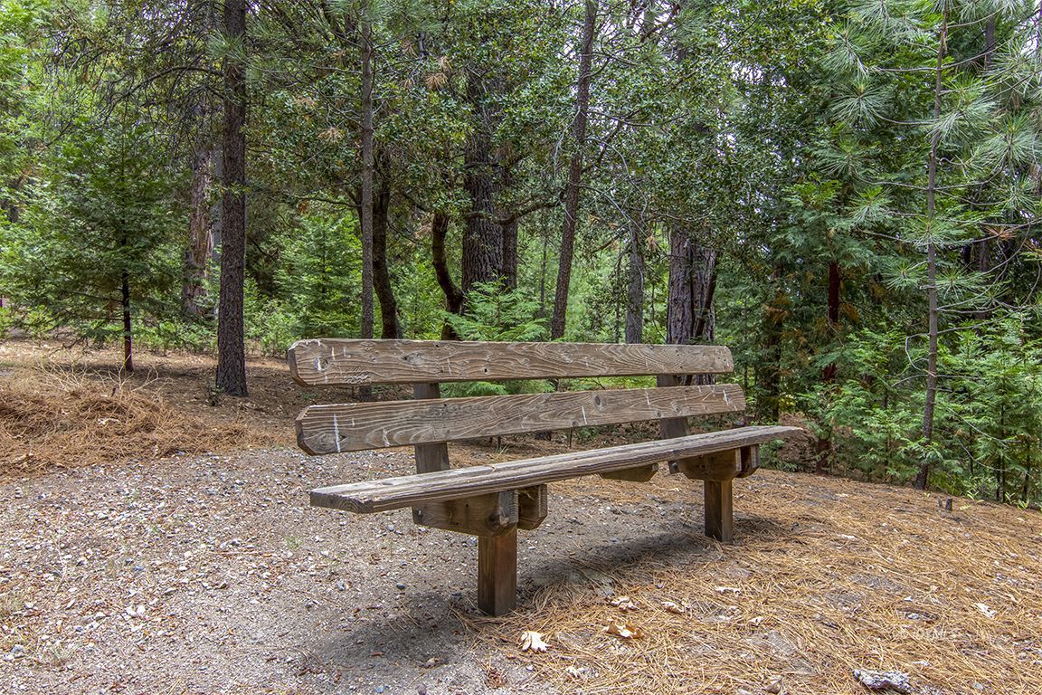 25431 Foster Lake Road Idyllwild, CA 92549 - Photo 58 of 66 Untitled