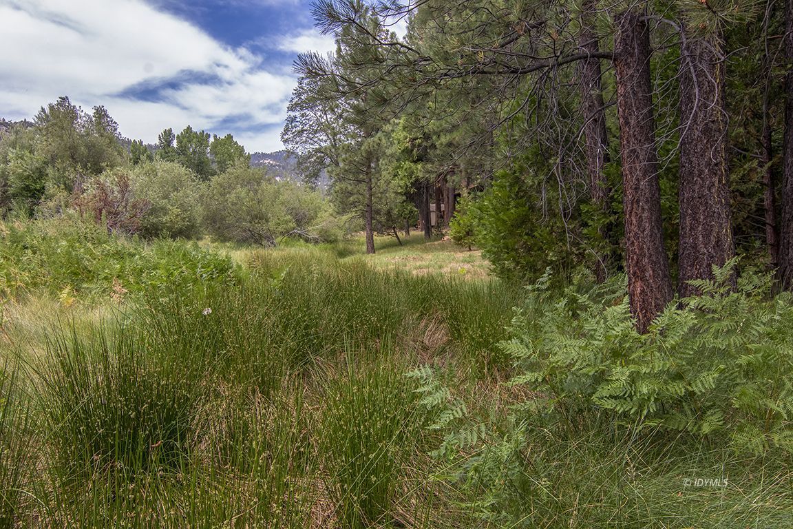 25431 Foster Lake Road Idyllwild, CA 92549 - Photo 61 of 66 Untitled
