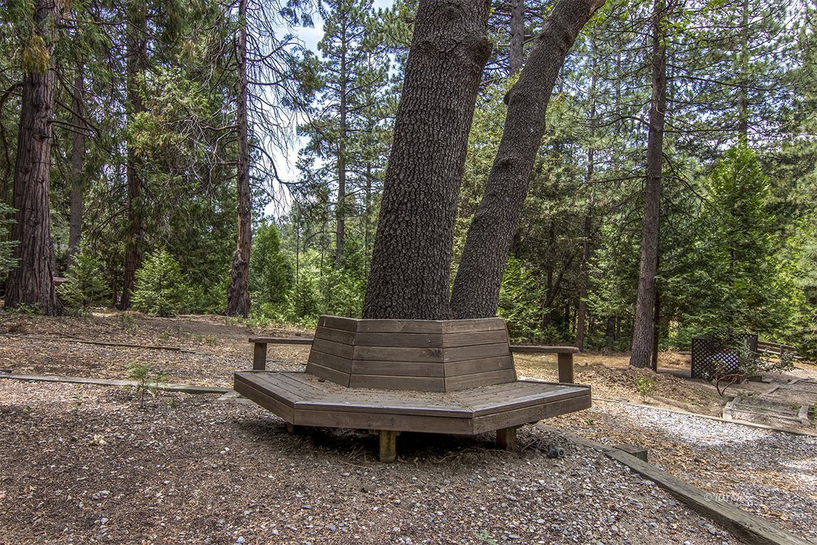 25431 Foster Lake Road Idyllwild, CA 92549 - Photo 8 of 66 Untitled