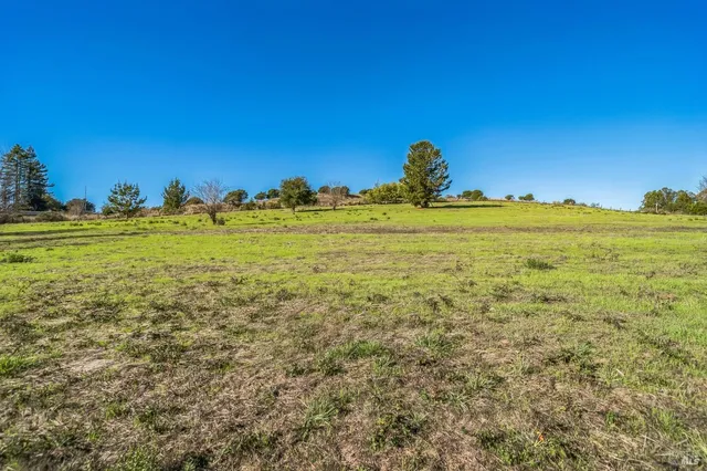 a view of a field with an ocean
