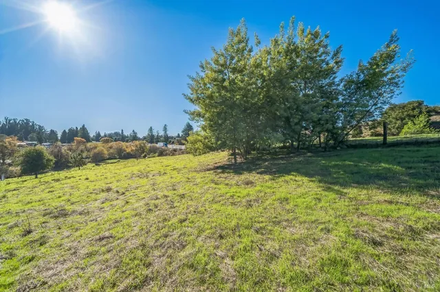 a view of a yard with an ocean