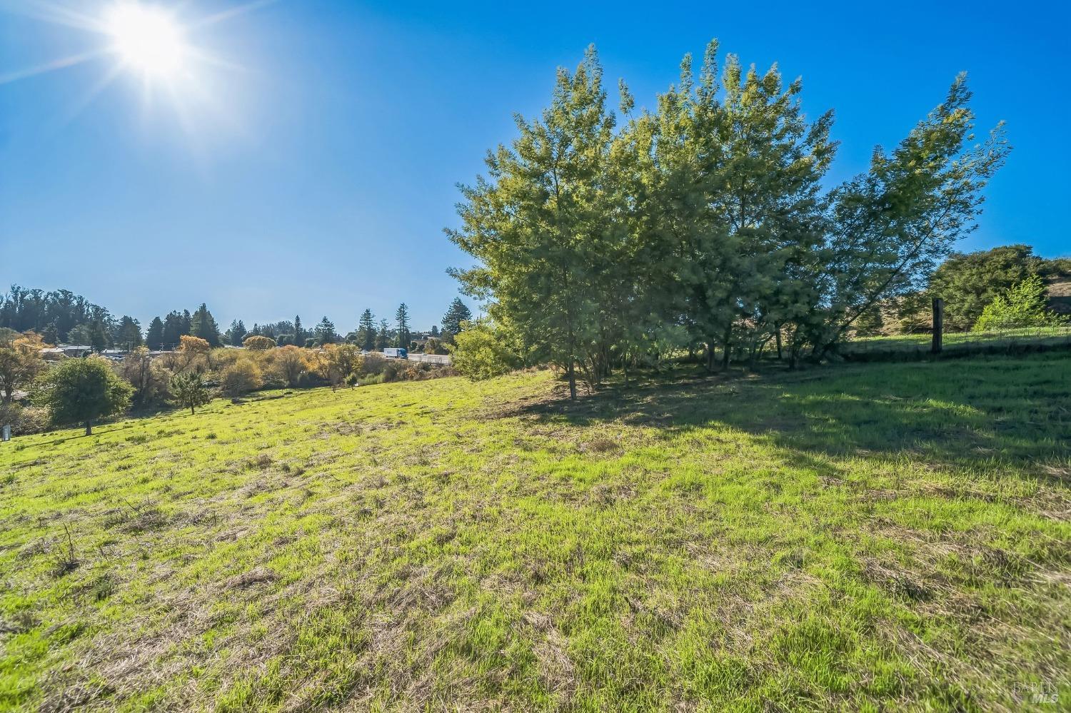 9053 Water Road Cotati, CA 94931 - Photo 17 of 20 a view of a yard with an trees