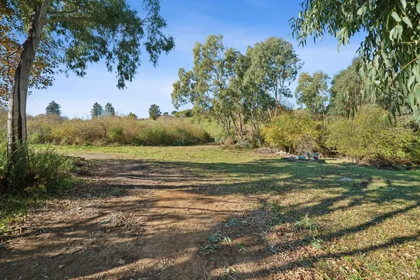 a view of a field with large trees
