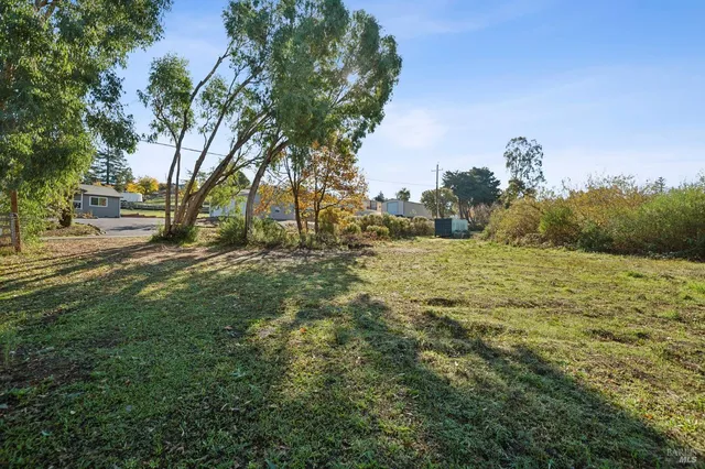 a view of a field with large trees