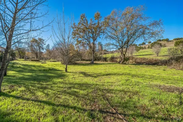 a view of backyard with green space