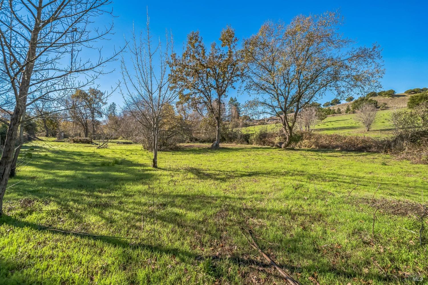 9053 Water Road Cotati, CA 94931 - Photo 7 of 20 a view of a field with large trees
