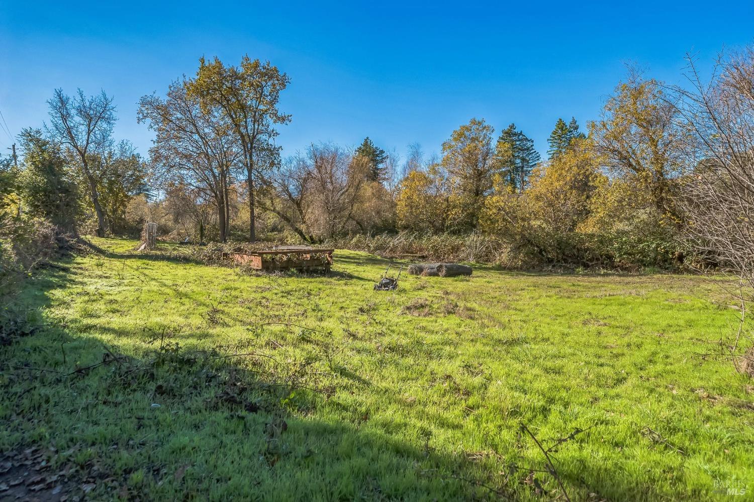 9053 Water Road Cotati, CA 94931 - Photo 9 of 20 a view of yard with trees