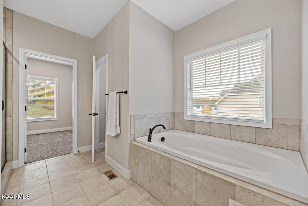 133 Mistletoeberry Road Oak Ridge, TN 37830 - Photo 16 of 42 Mstltbrry133i (48)