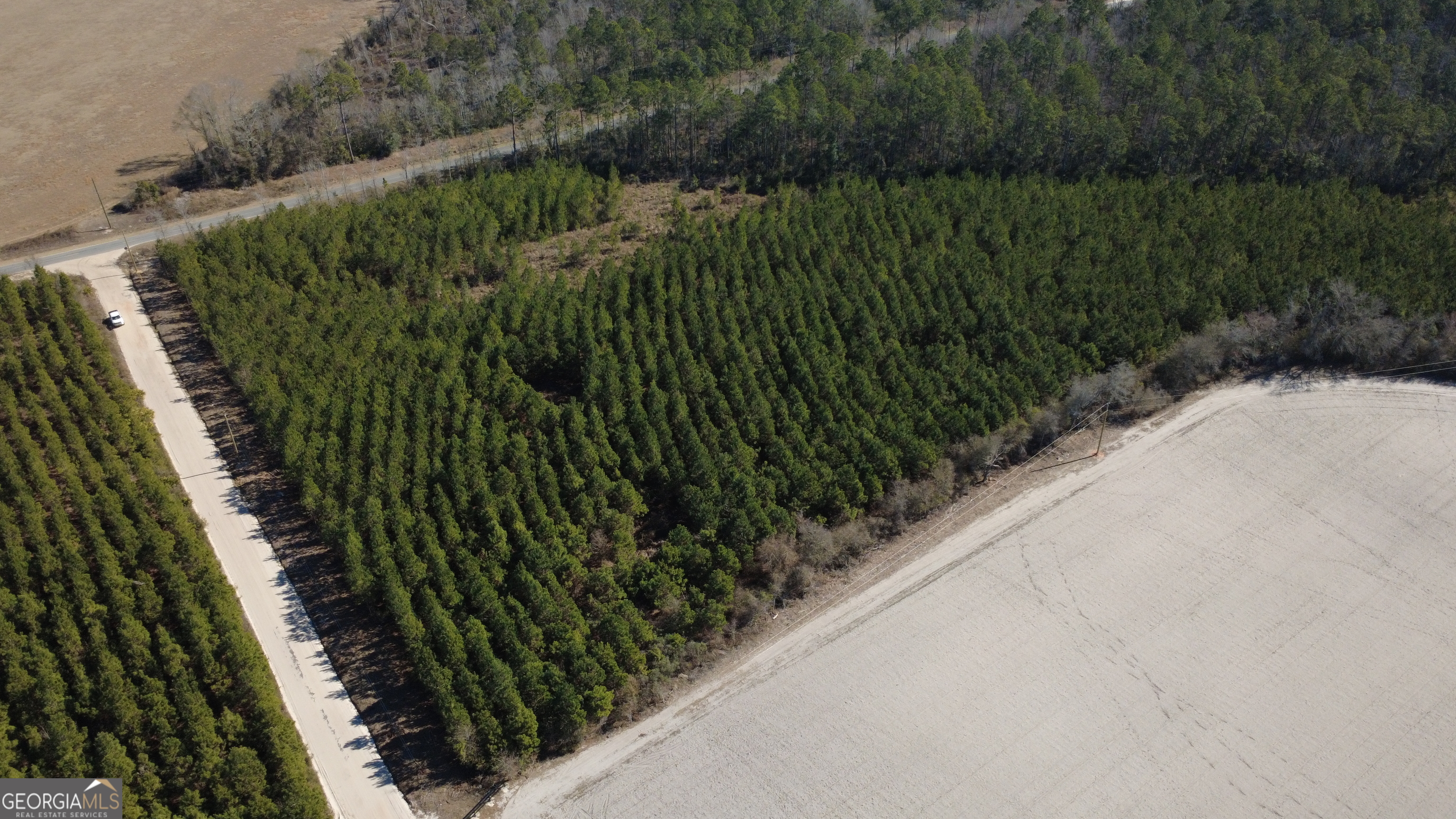 2 Greyhound Road Mershon, GA 31551 - Photo 2 of 3