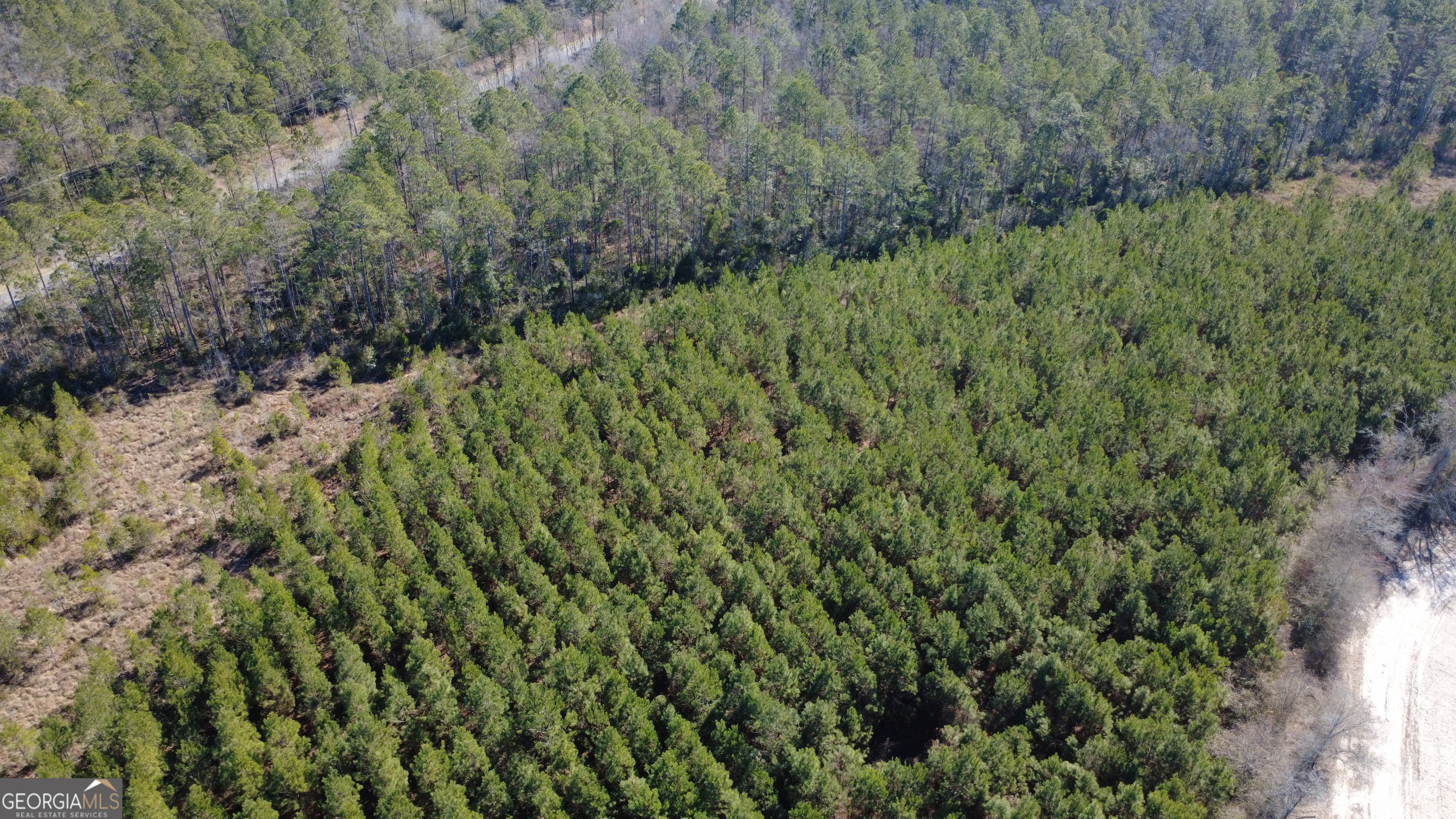 2 Greyhound Road Mershon, GA 31551 - Photo 3 of 3