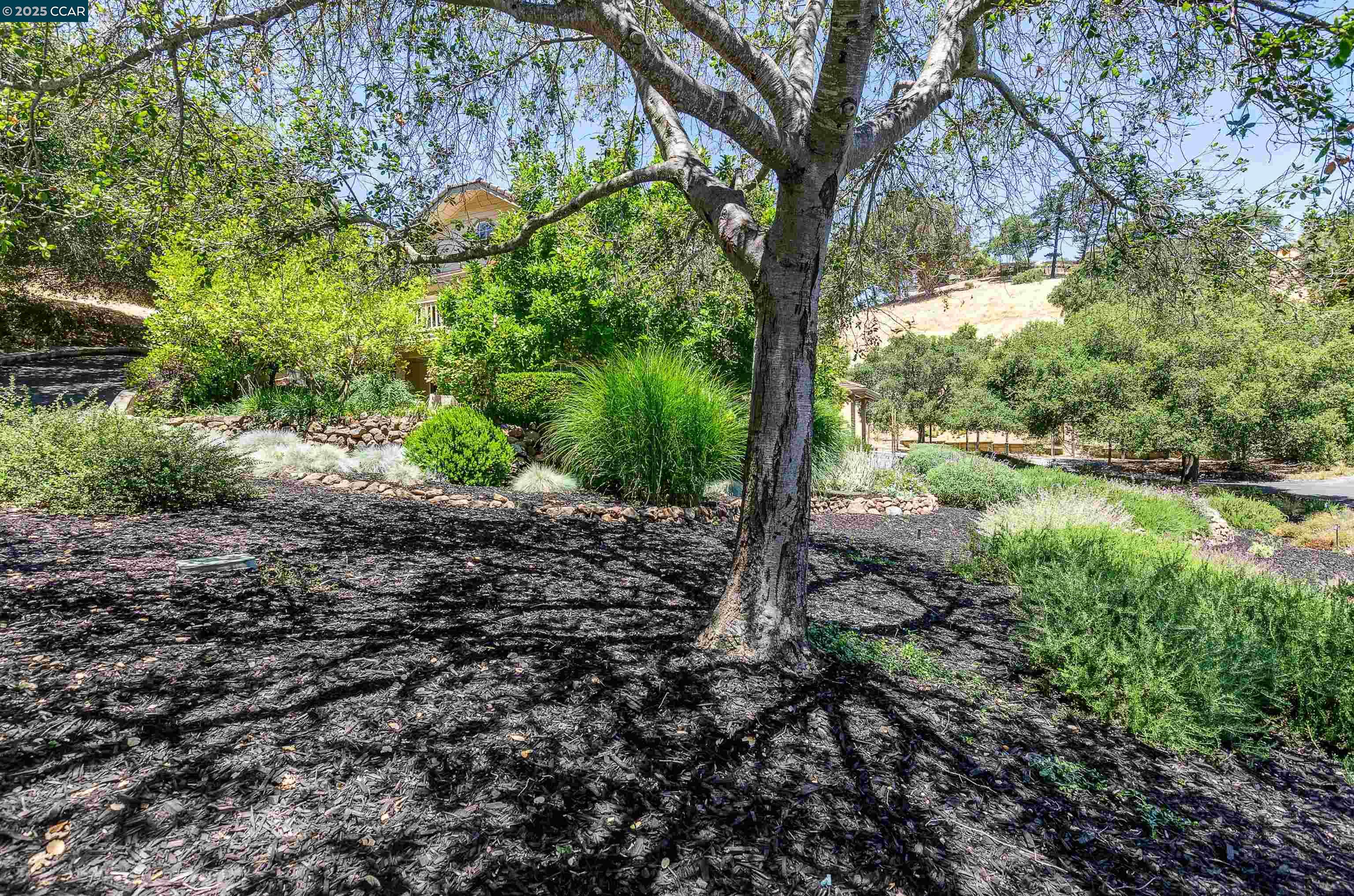 3434 Woodview Drive Lafayette, CA 94549 - Photo 24 of 24