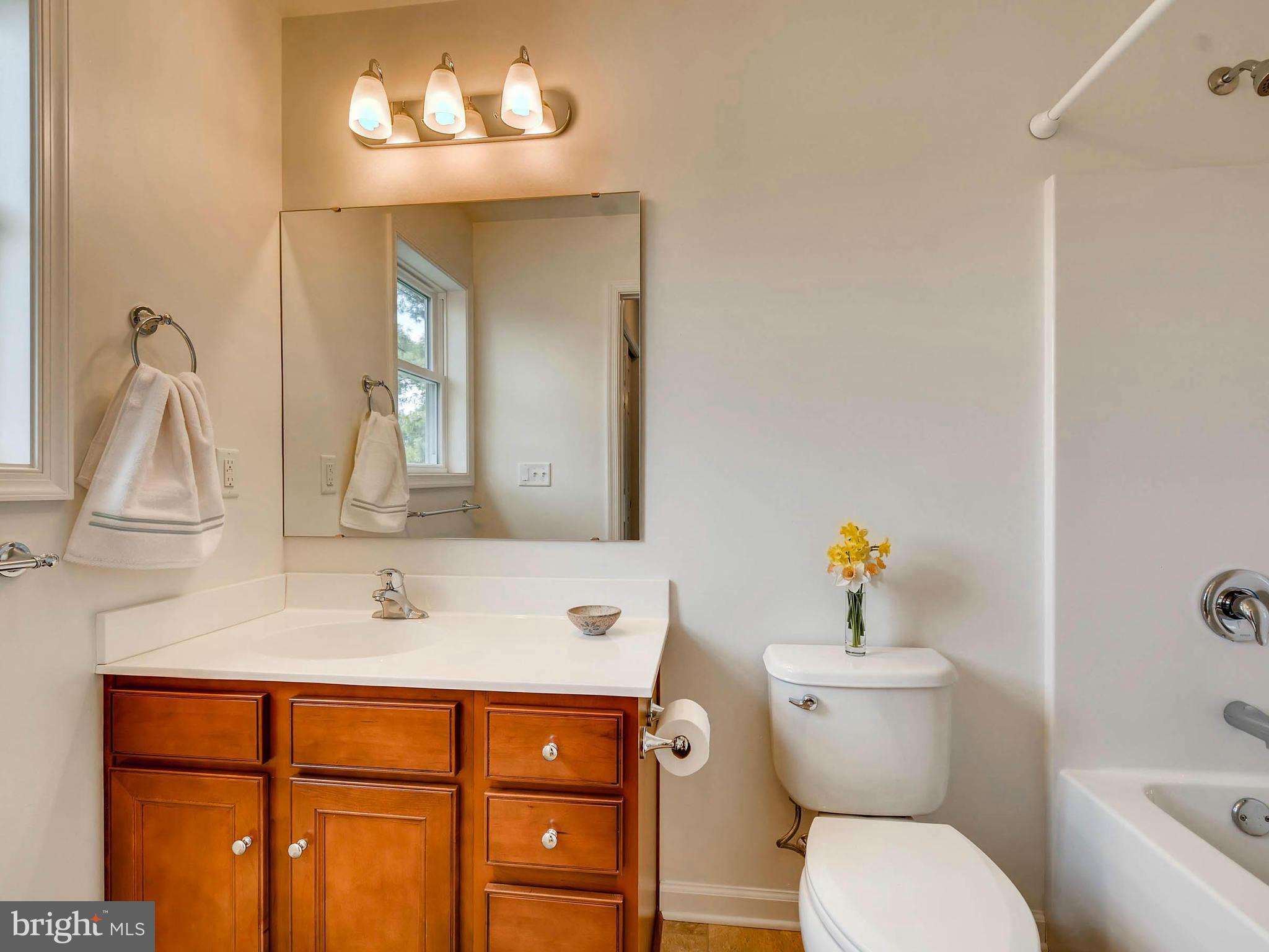 4939 Pleasant Grove Road Reisterstown, MD 21136 - Photo 18 of 26 Bath (Master)