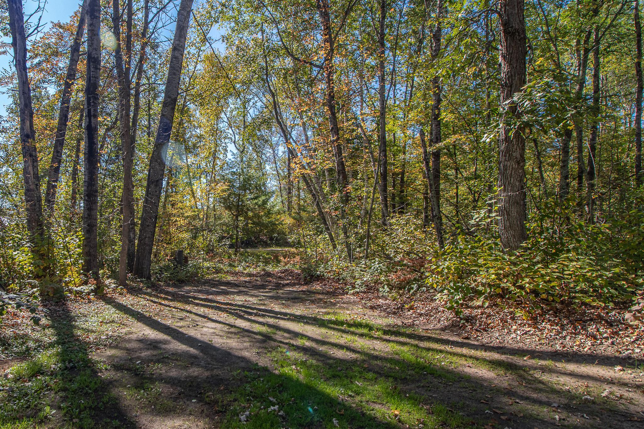 19865 Blue Lake Road Emily, MN 56447 - Photo 41 of 51