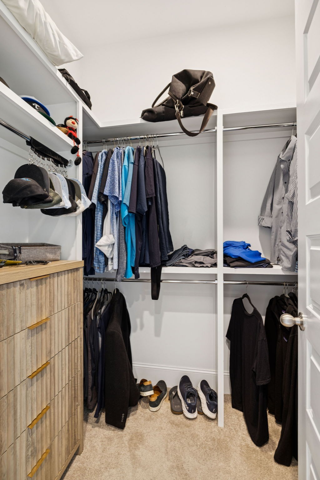 7143 Neills Branch Drive College Grove, TN 37046 - Photo 65 of 74 a view of walk in closet with clothes and shoes