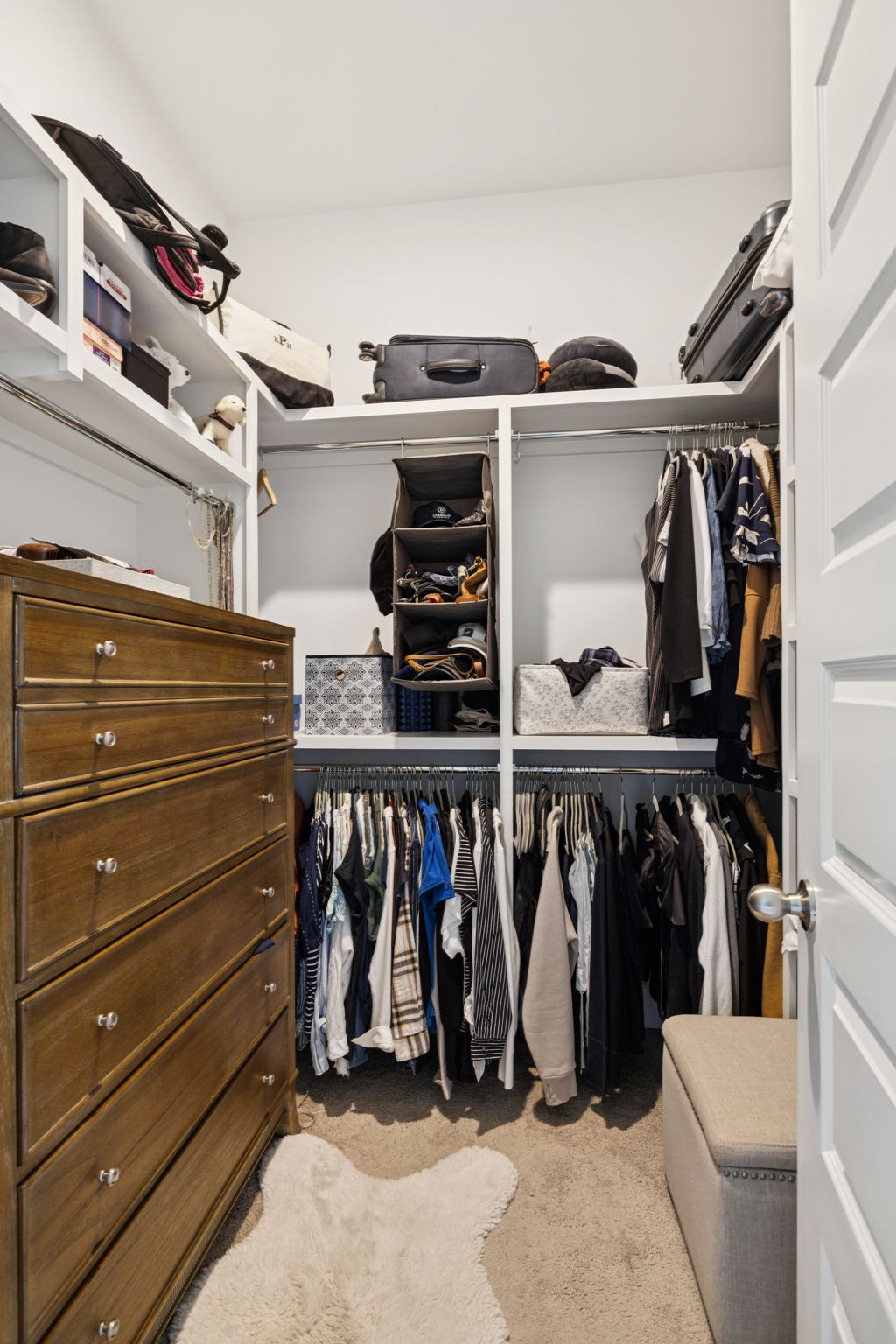7143 Neills Branch Drive College Grove, TN 37046 - Photo 66 of 74 a view of walk in closet with clothes and shoes