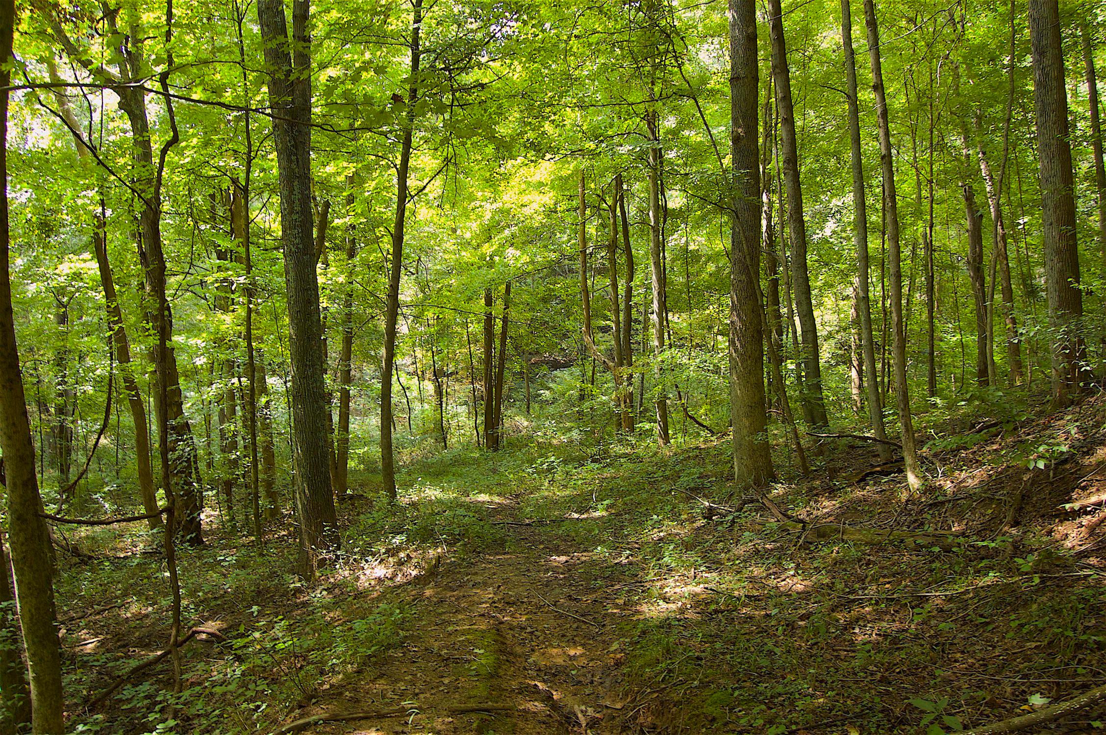0 Story Run Road Cheshire, OH 45620 - Photo 13 of 27