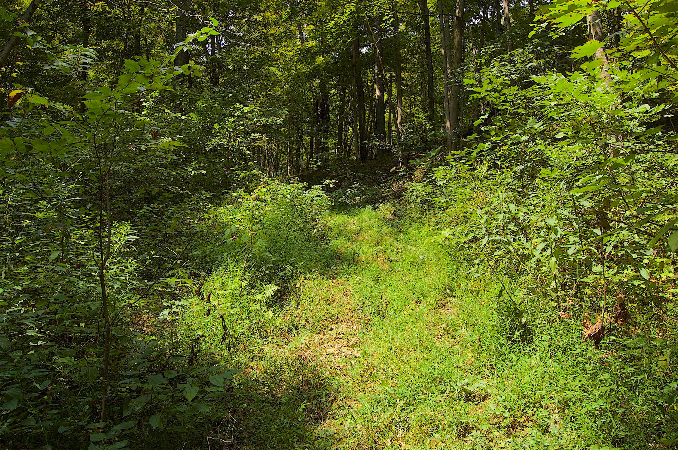 0 Story Run Road Cheshire, OH 45620 - Photo 17 of 27