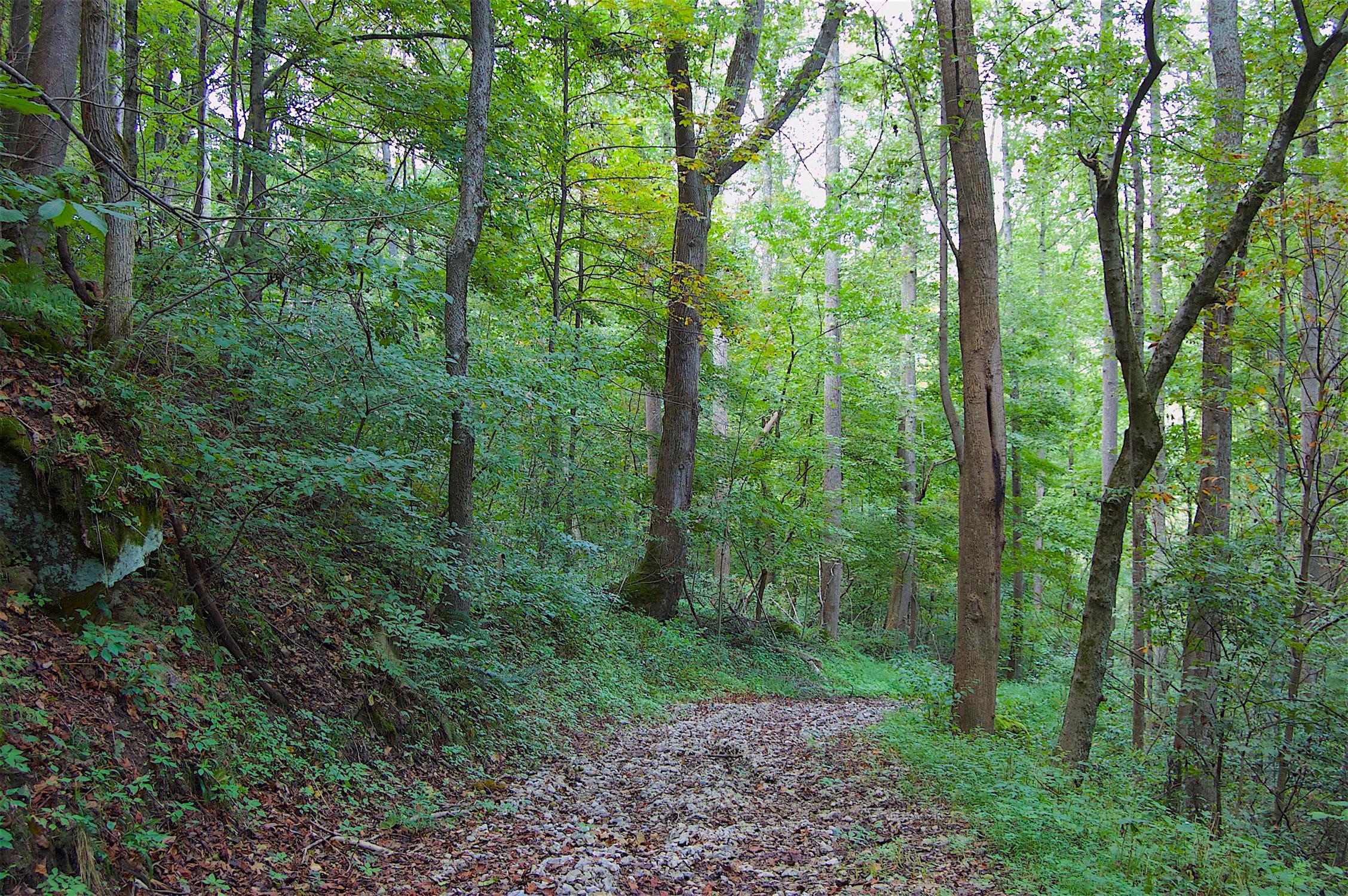 0 Story Run Road Cheshire, OH 45620 - Photo 18 of 27