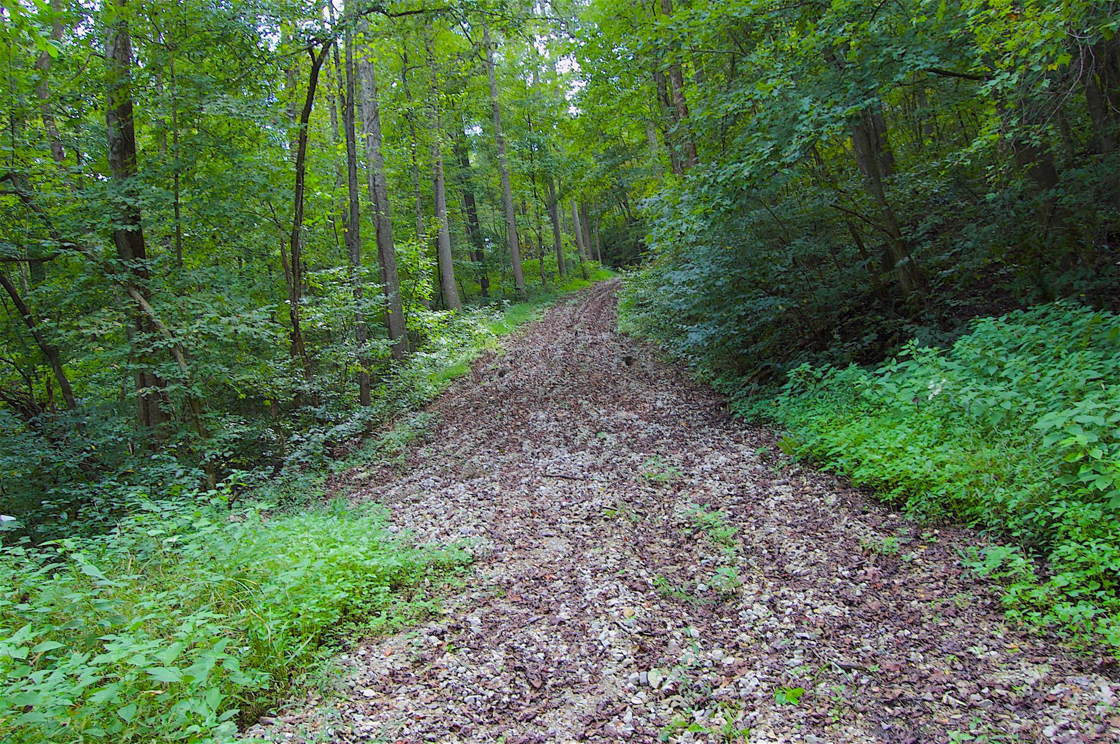 0 Story Run Road Cheshire, OH 45620 - Photo 19 of 27