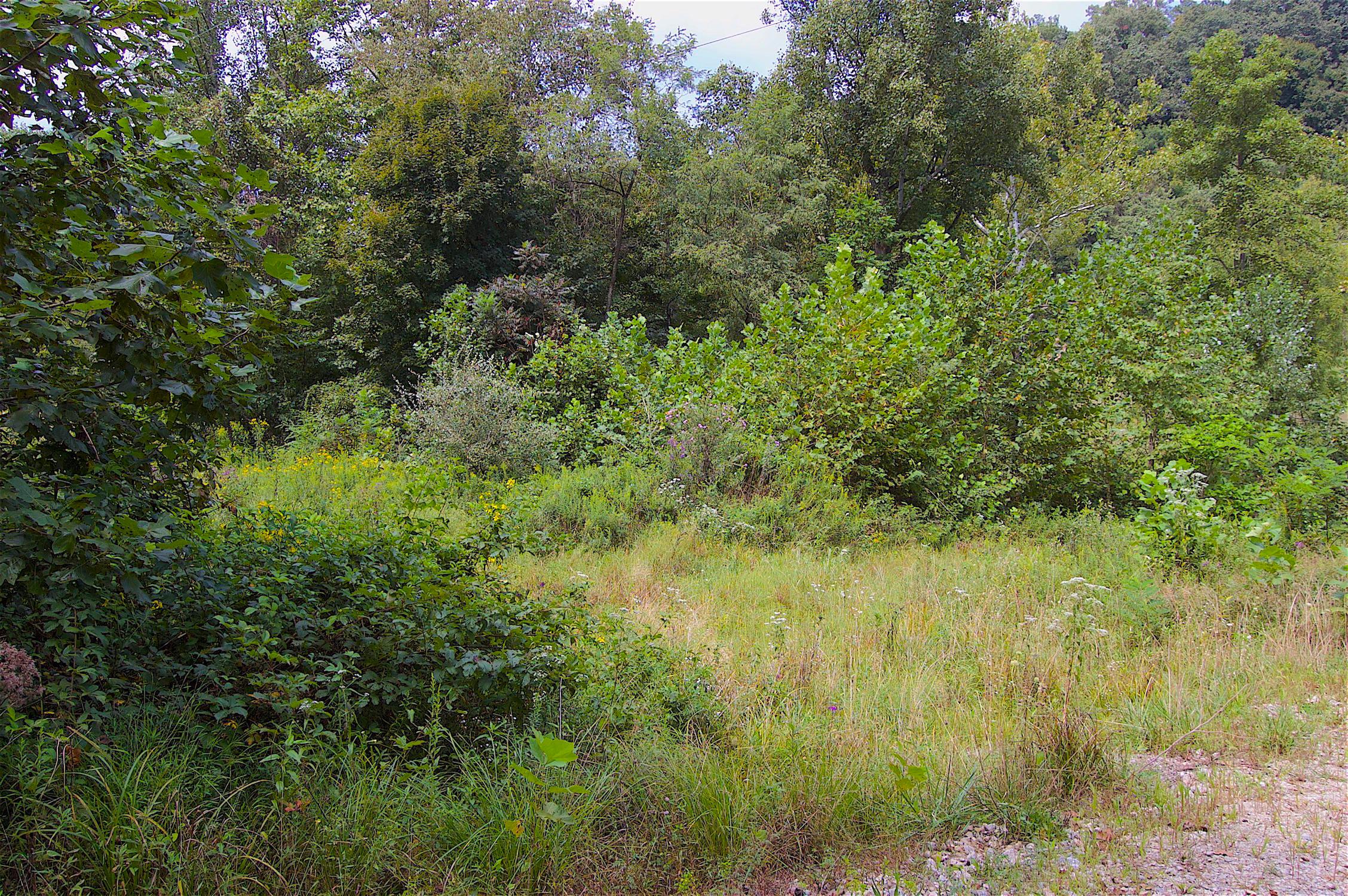 0 Story Run Road Cheshire, OH 45620 - Photo 20 of 27