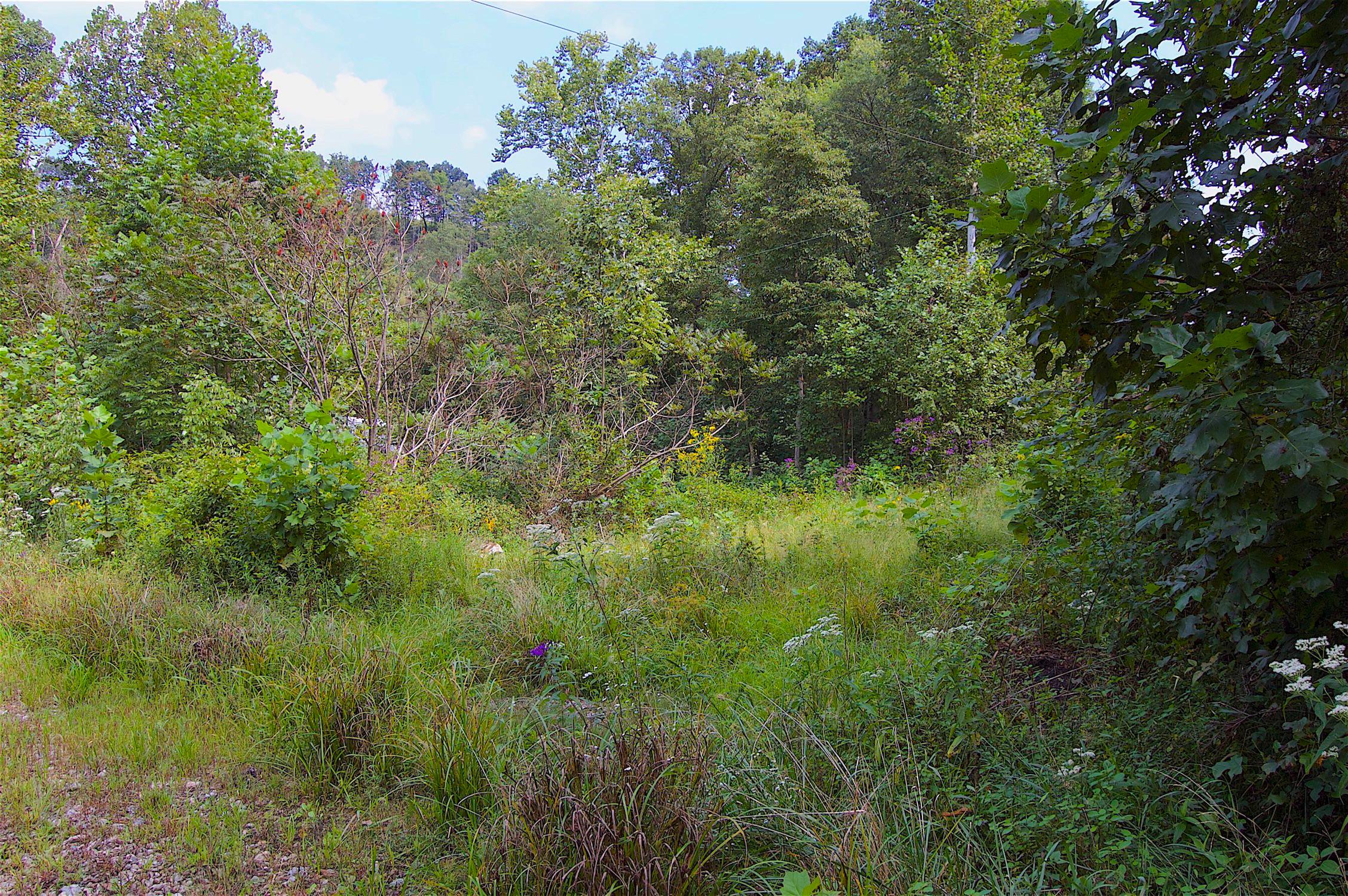 0 Story Run Road Cheshire, OH 45620 - Photo 21 of 27