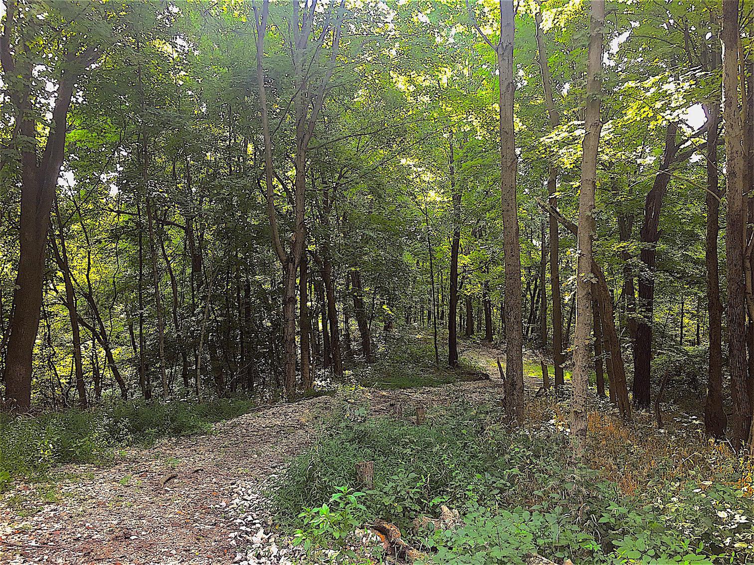 0 Story Run Road Cheshire, OH 45620 - Photo 22 of 27