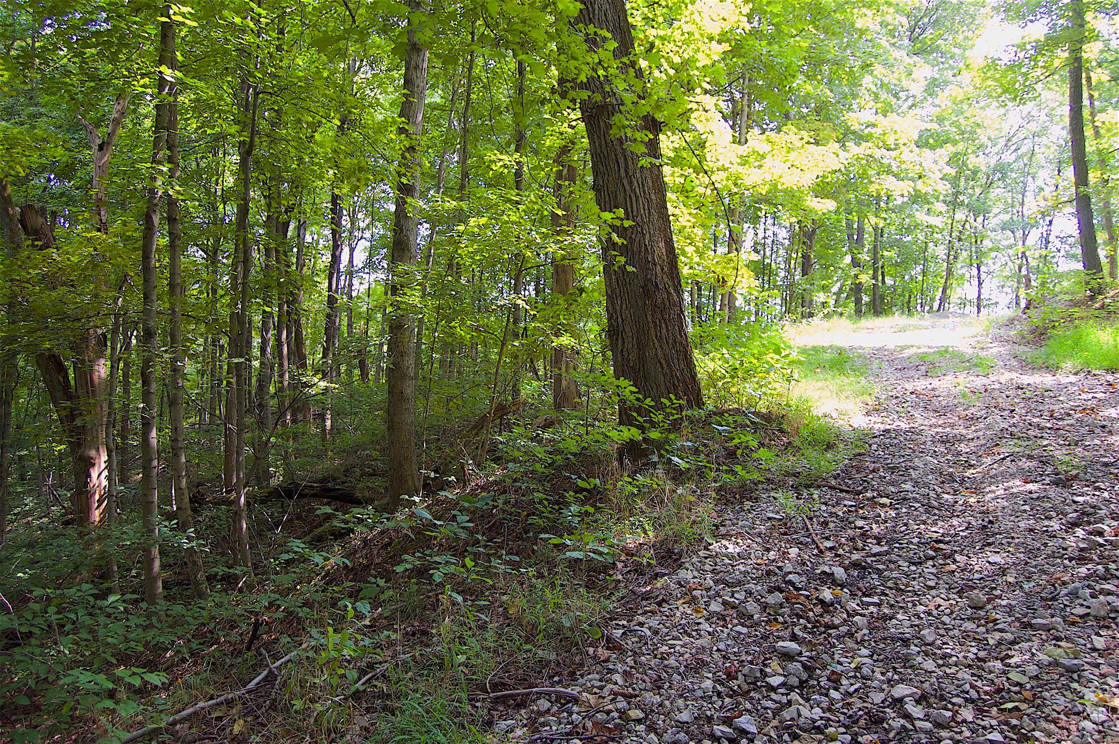 0 Story Run Road Cheshire, OH 45620 - Photo 7 of 27