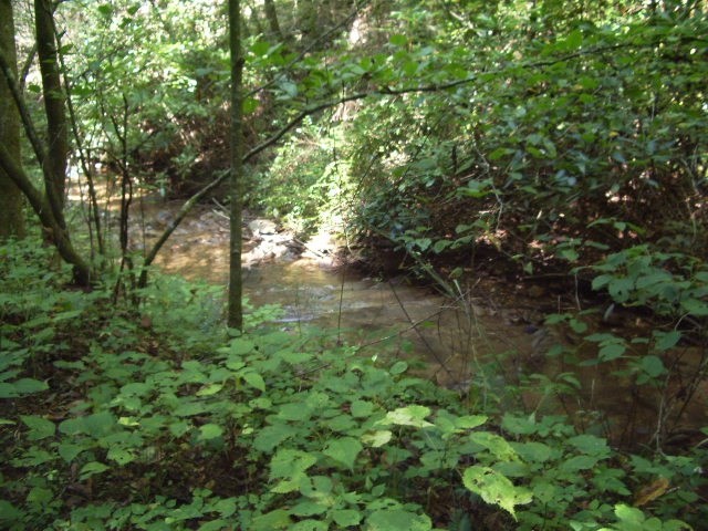 0 Messer Branch Road Hartford, TN 37753 - Photo 22 of 27