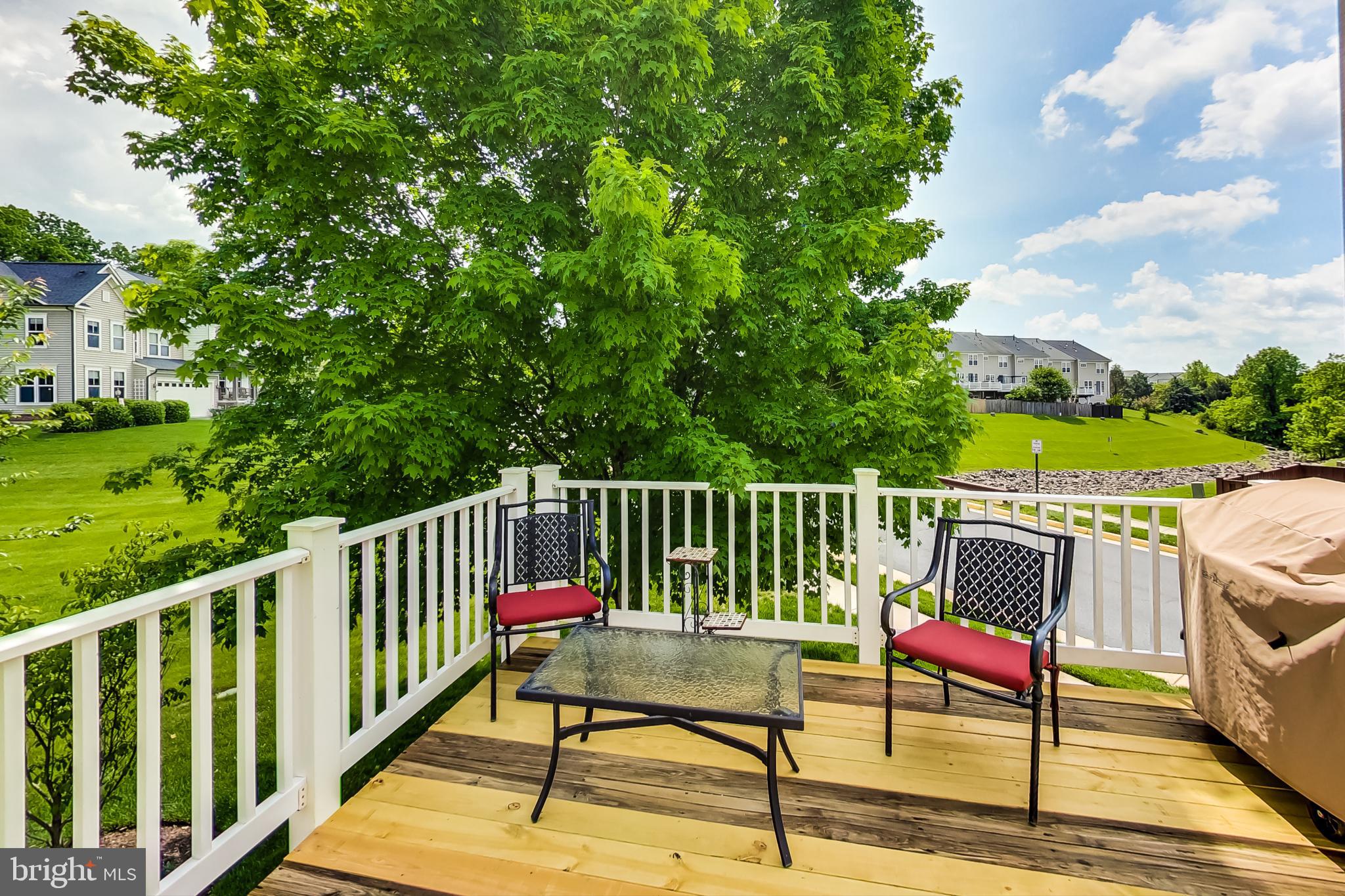 9139 Ribbon Falls Loop Bristow, VA 20136 - Photo 22 of 49 Deck off family room