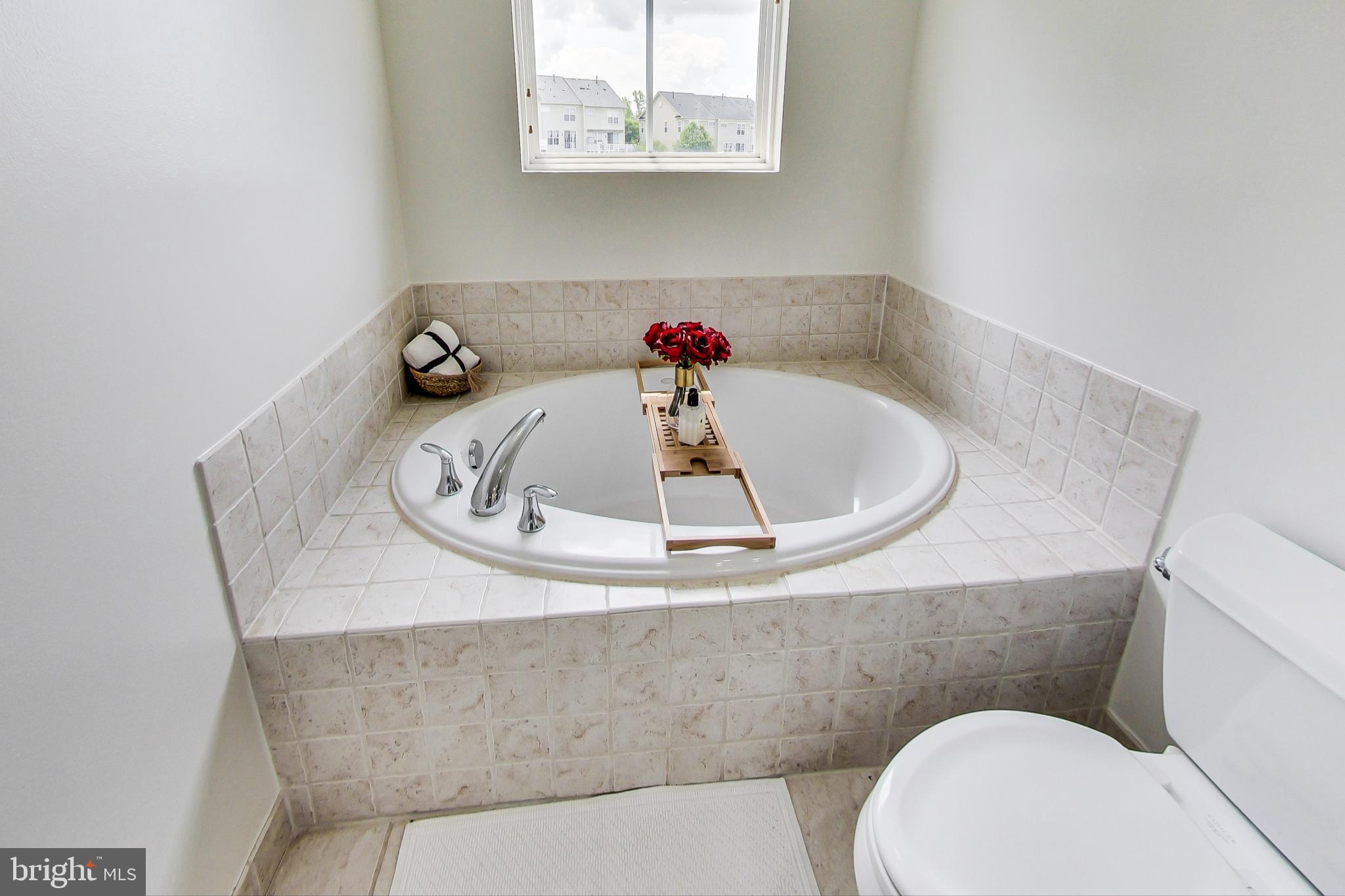 9139 Ribbon Falls Loop Bristow, VA 20136 - Photo 29 of 49 Luxury soaking tub