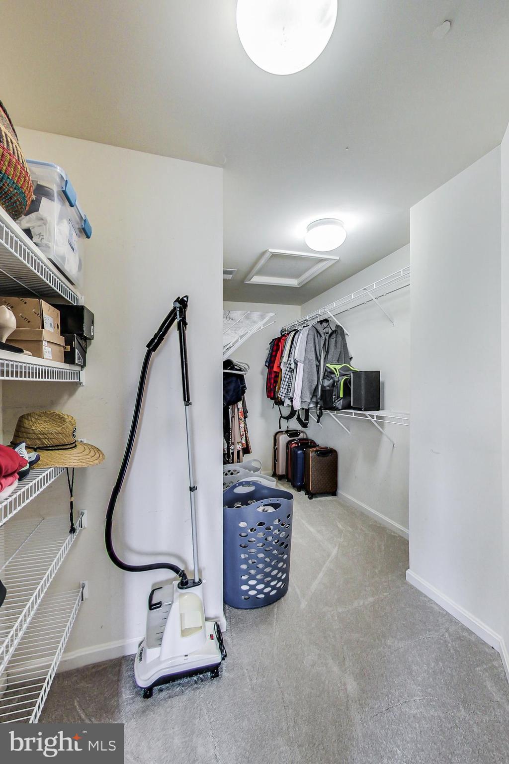 9139 Ribbon Falls Loop Bristow, VA 20136 - Photo 31 of 49 Walk in closet