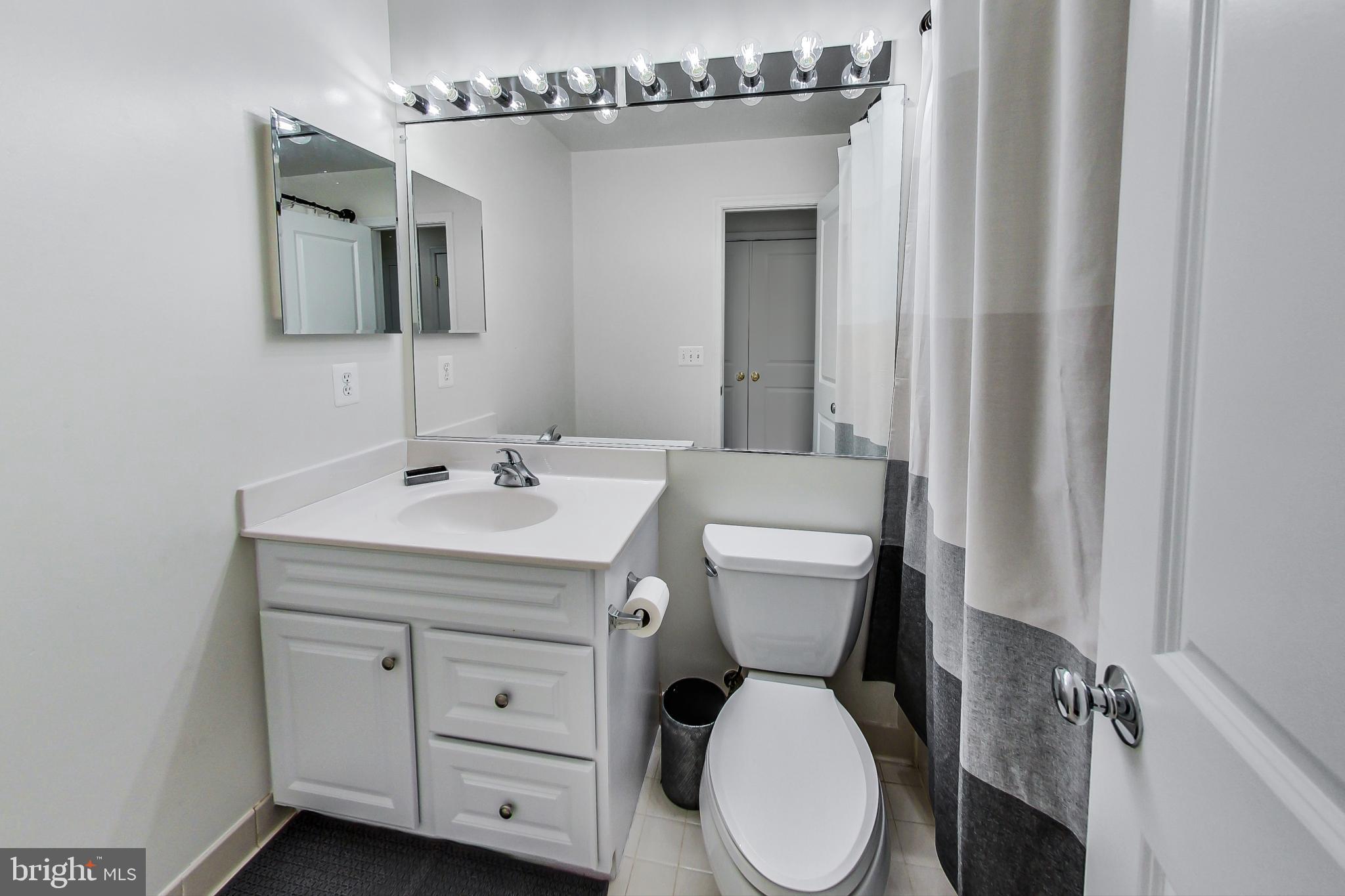 9139 Ribbon Falls Loop Bristow, VA 20136 - Photo 38 of 49 Upper hallway bathroom