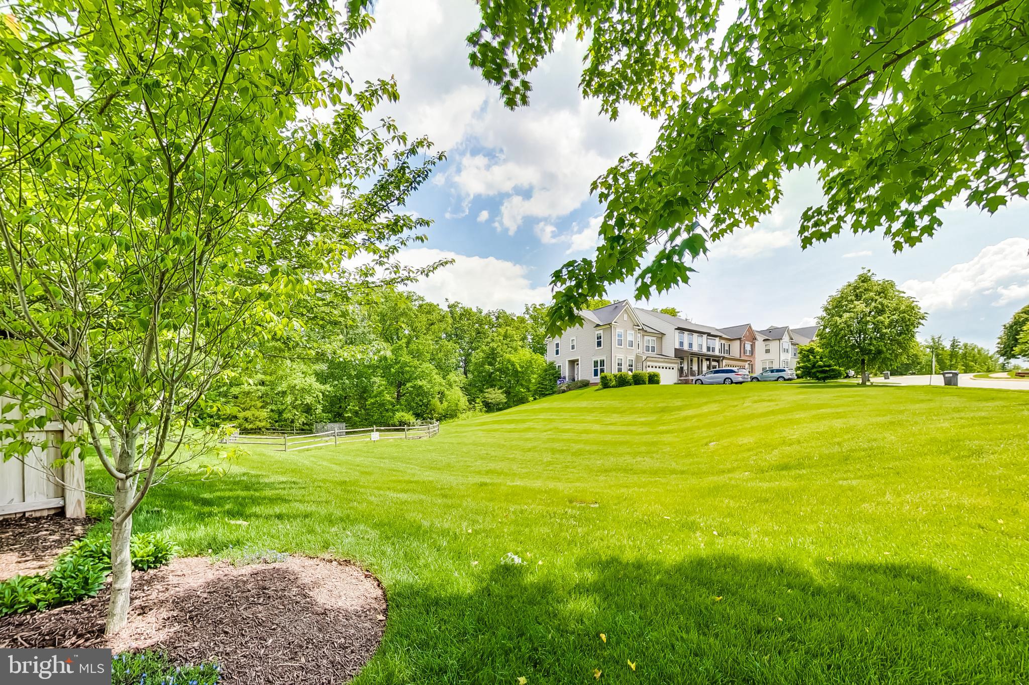 9139 Ribbon Falls Loop Bristow, VA 20136 - Photo 47 of 49 Open spaces in rear