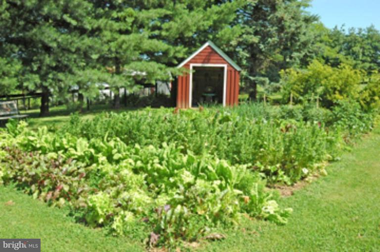 9200 Brown Church Road Mount Airy, MD 21771 - Photo 21 of 29 Garden