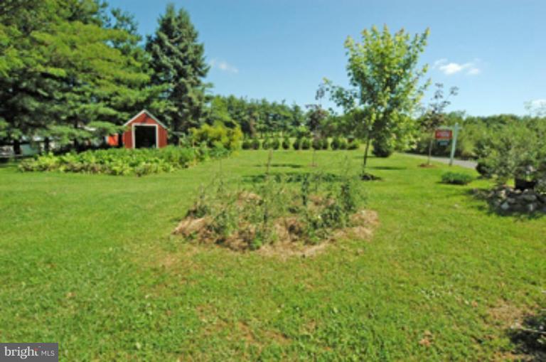 9200 Brown Church Road Mount Airy, MD 21771 - Photo 22 of 29 Garden