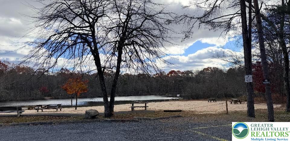 a view of outdoor space with trees