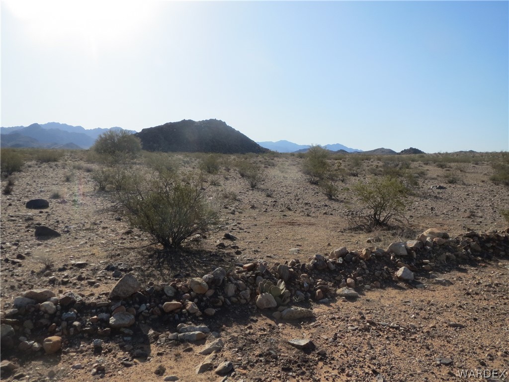 Lot 15-16 Lorton Road Yucca, AZ 86438 - Photo 5 of 14 a view of a dry yard with green space