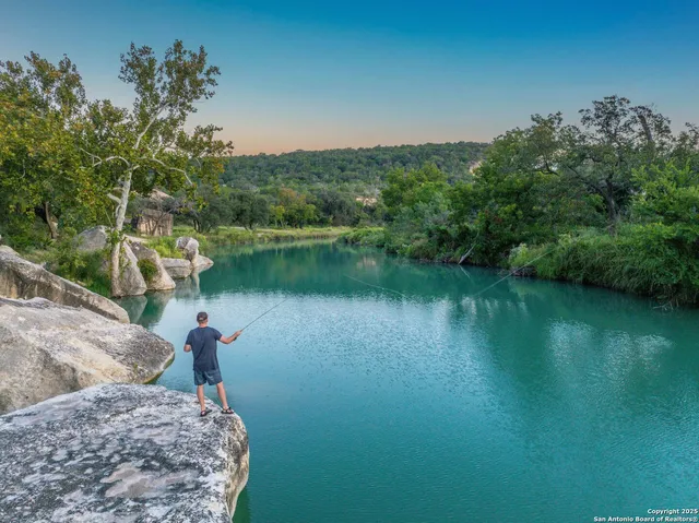 a view of a backyard with plants and large trees