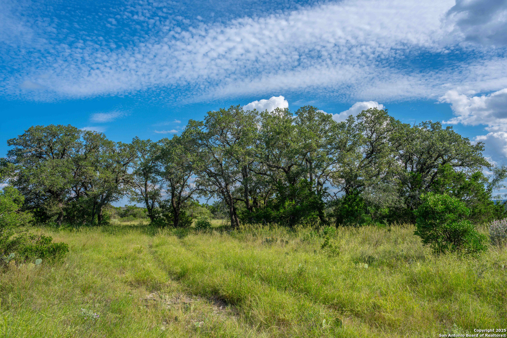 Tbd Fm 2169 Junction, TX 76849 - Photo 77 of 89 a view of a yard